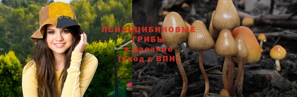 кристаллы Корсаков