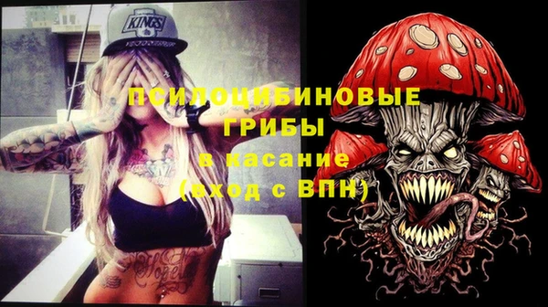 бошки Костерёво